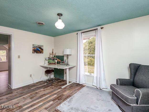 26354 Pewter Ln, Abingdon, VA 24211 - home office featuring wood finished floors, baseboards, and a textured ceiling