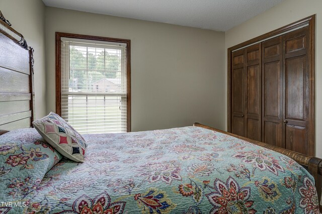 719 W Valley Dr, Kingsport, TN 37664 - bedroom with a closet