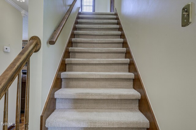 719 W Valley Dr, Kingsport, TN 37664 - stairway with ornamental molding and a towering ceiling