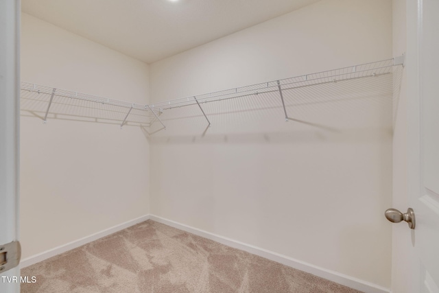 1024 Persimmon Holw, Greeneville, TN 37745 - photo 28