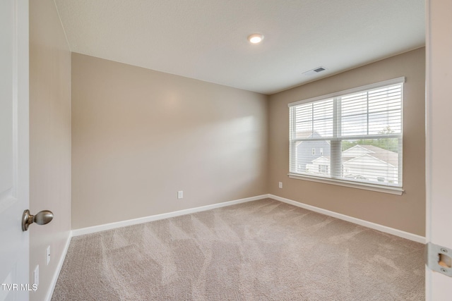 1024 Persimmon Holw, Greeneville, TN 37745 - photo 29