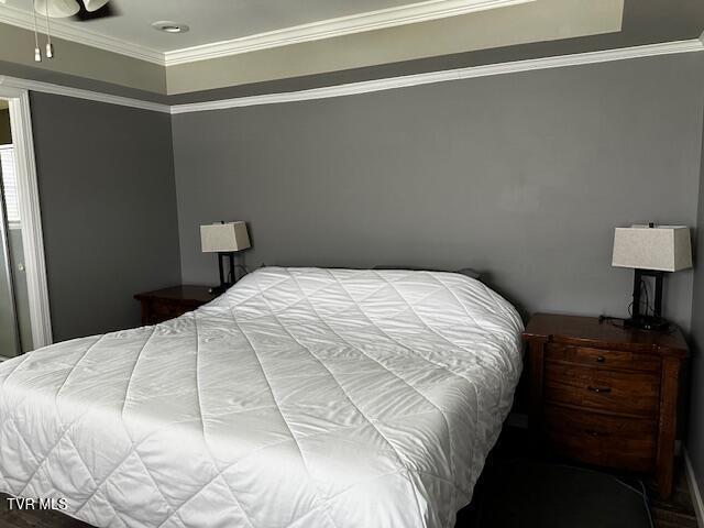 778 Hairetown Rd, Jonesborough, TN 37659 - photo 13