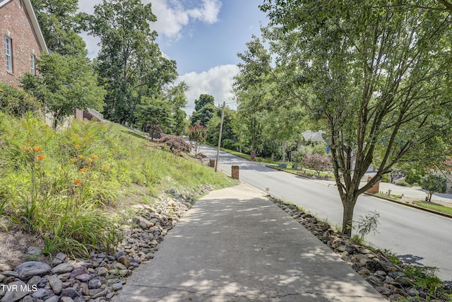 view of asphalt road