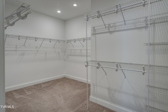 walk in closet featuring carpet
