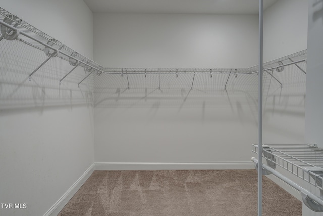 spacious closet with carpet floors