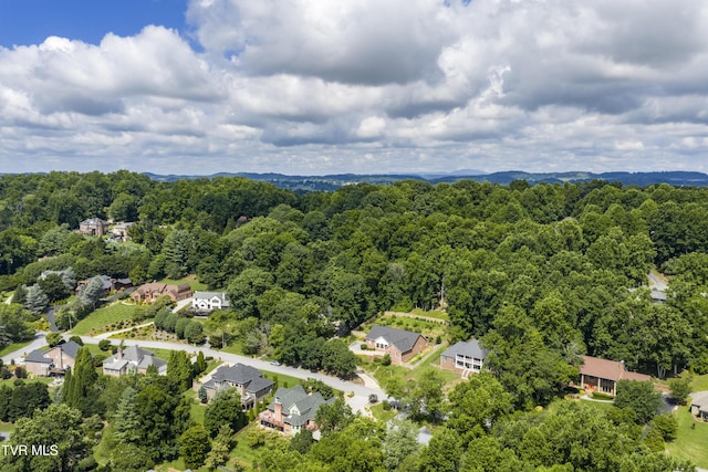 aerial view of residential area featuring a forest