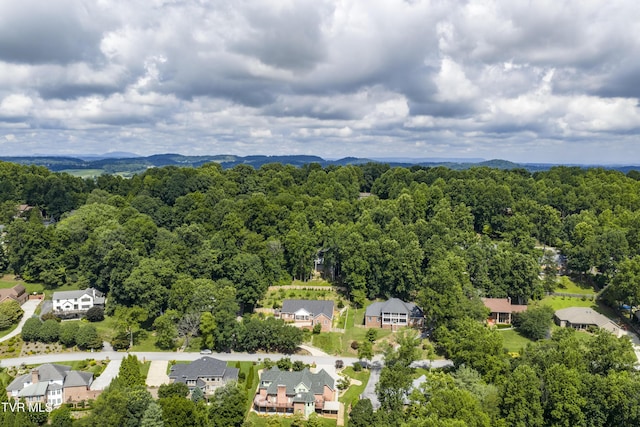 aerial perspective of suburban area featuring a forest