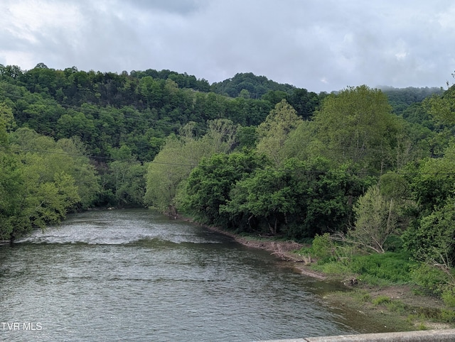 TBD Clinch River Hwy, Gate City, VA 24251