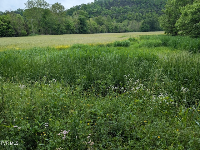 TBD Clinch River Hwy, Gate City, VA 24251