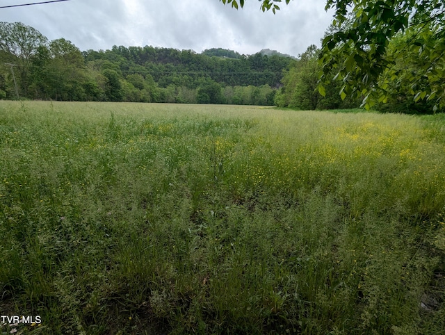 TBD Clinch River Hwy, Gate City, VA 24251