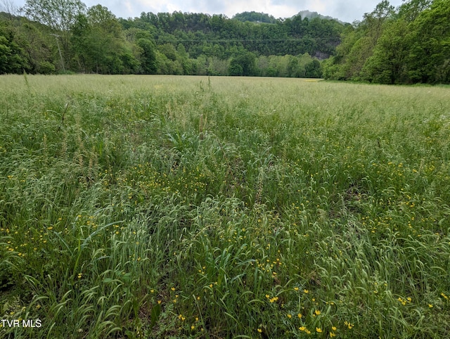 TBD Clinch River Hwy, Gate City, VA 24251
