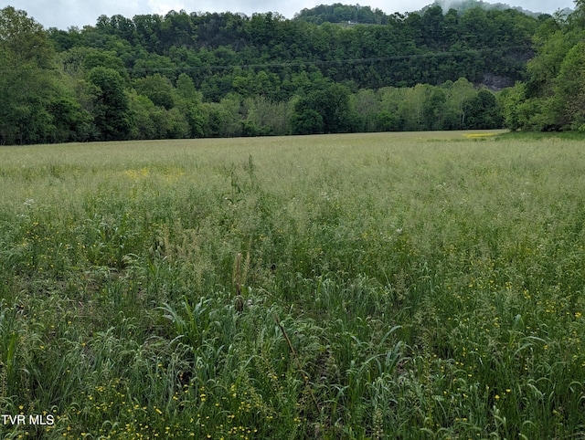 TBD Clinch River Hwy, Gate City, VA 24251