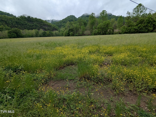 TBD Clinch River Hwy, Gate City, VA 24251
