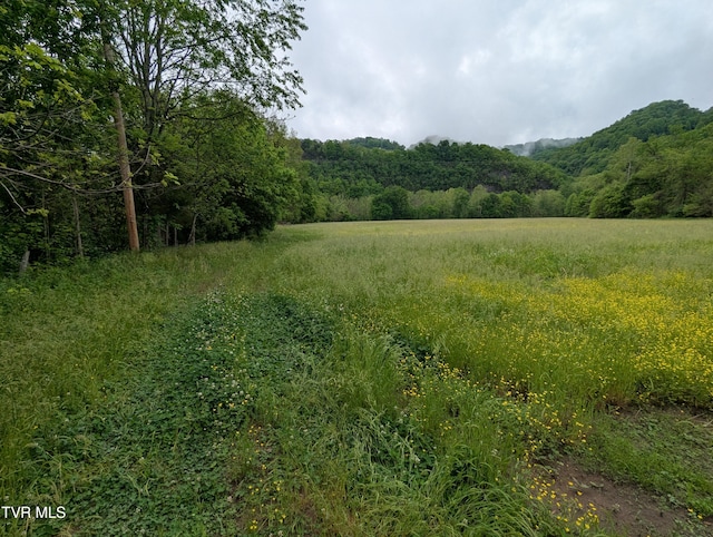 TBD Clinch River Hwy, Gate City, VA 24251