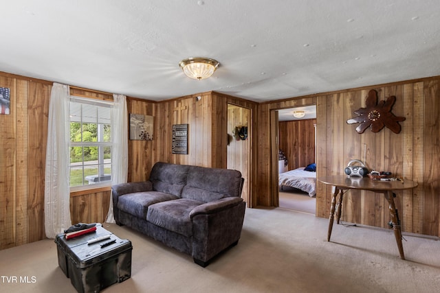 590 Kingsport Hwy, Greeneville, TN 37745 - living area with carpet and wood walls