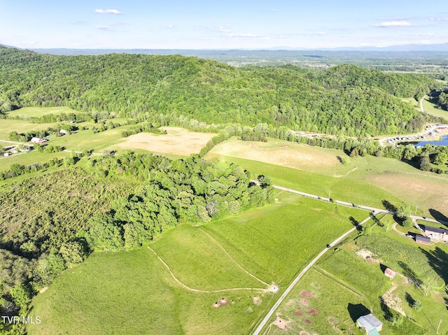 Tbd Lonesome Pine Trail, Greeneville, TN 37743
