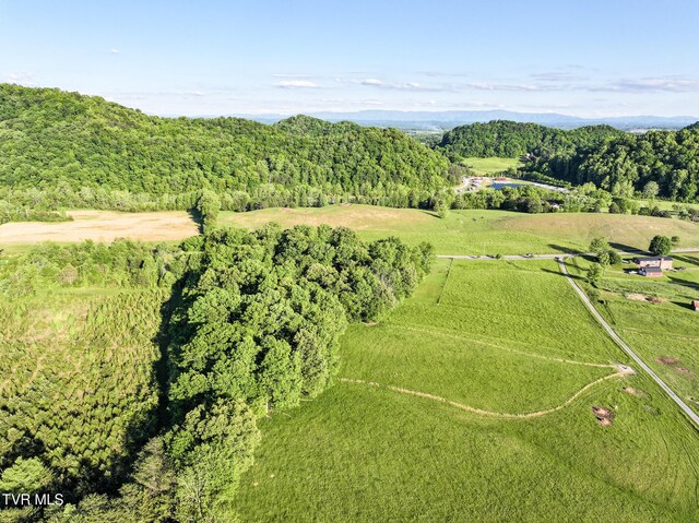 Tbd Lonesome Pine Trail, Greeneville, TN 37743
