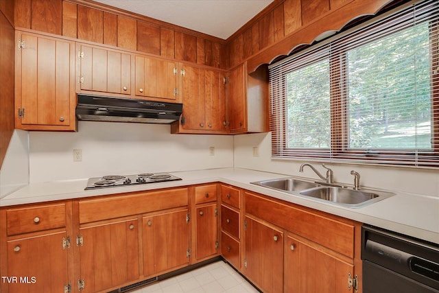 4401 Beechcliff Dr, Kingsport, TN 37664 - kitchen with black appliances, under cabinet range hood, light countertops, and a sink