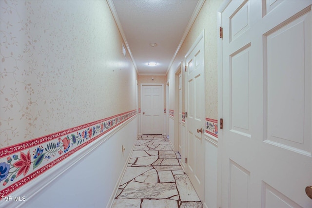 4401 Beechcliff Dr, Kingsport, TN 37664 - hallway featuring crown molding, a wainscoted wall, and a textured ceiling