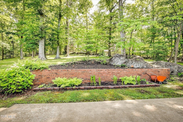 4401 Beechcliff Dr, Kingsport, TN 37664 - view of yard