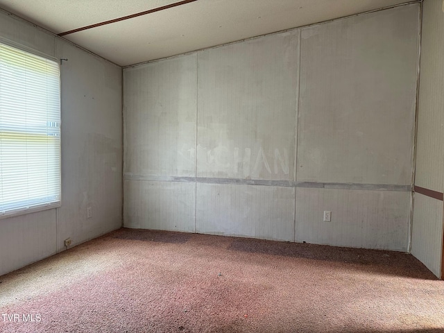 empty room featuring carpet floors