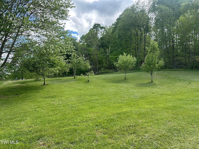 view of green lawn