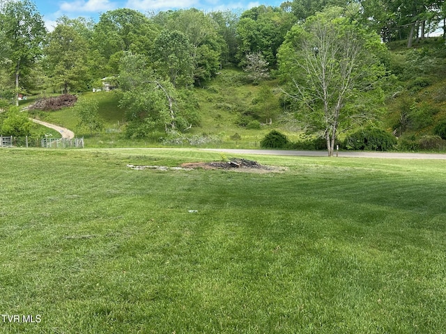 view of grassy yard