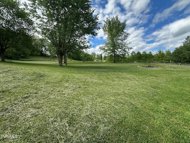view of grassy yard
