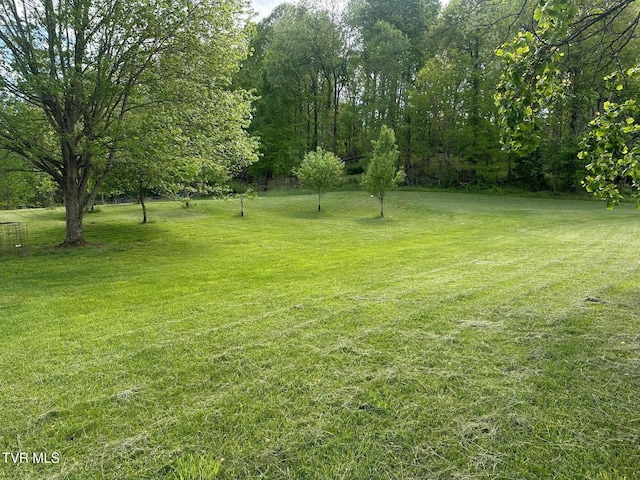 view of grassy yard