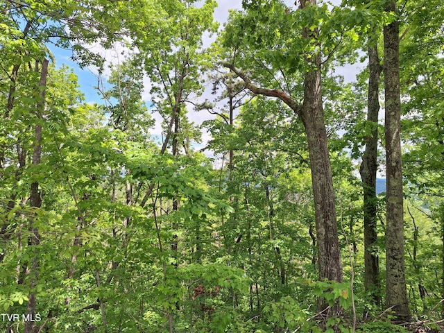 409 Dean Rd, Mooresburg, TN 37811