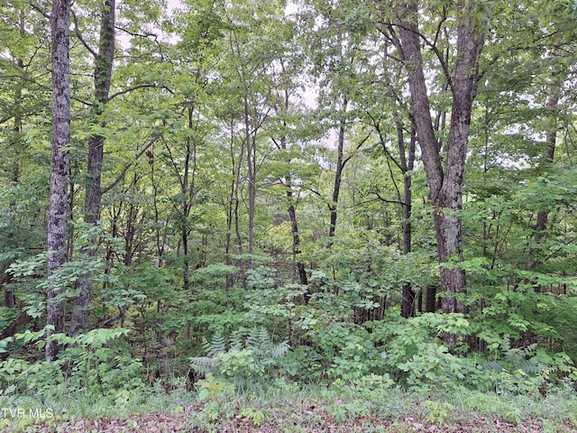 409 Dean Rd, Mooresburg, TN 37811