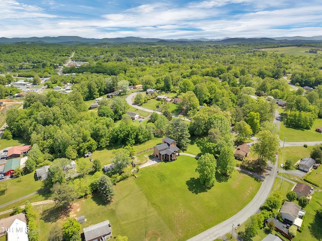 aerial view of a mountain backdrop and a heavily wooded area
