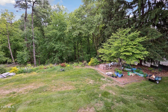 view of grassy yard featuring a view of trees