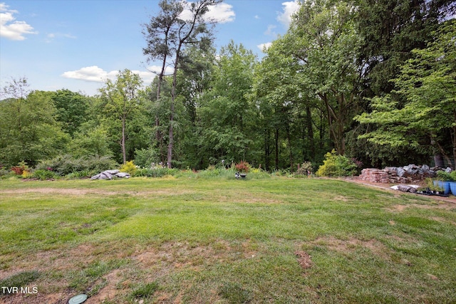 view of grassy yard featuring a wooded view