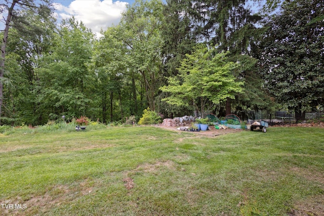 view of yard