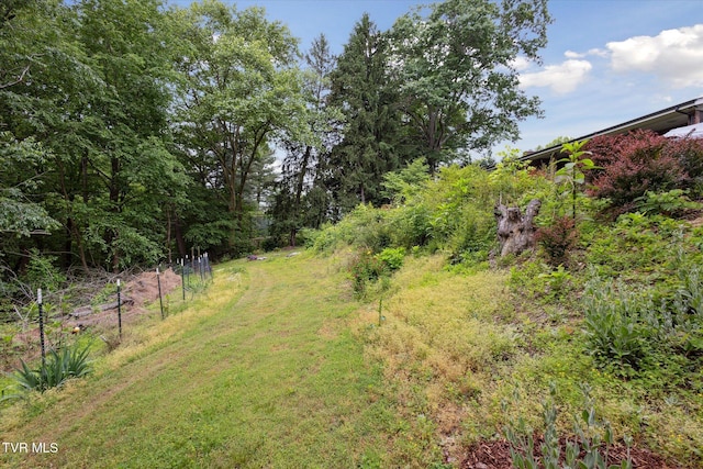 view of yard