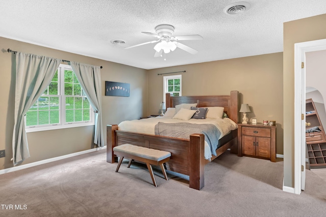588 Spring Valley Rd, Bristol, VA 24201 - bedroom with light carpet, multiple windows, baseboards, and a textured ceiling