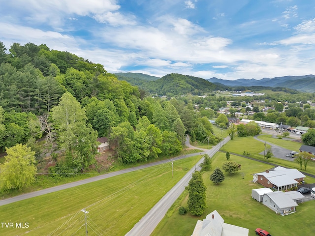 102 Brummett Rd, Unicoi, TN 37692 - photo 42