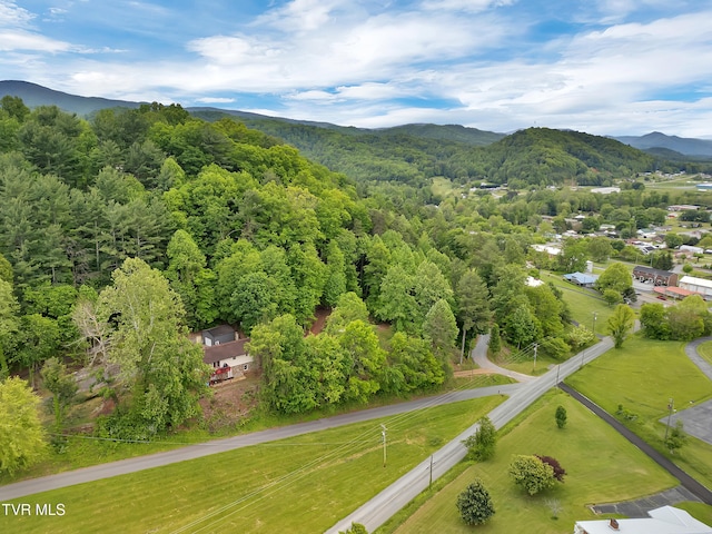 102 Brummett Rd, Unicoi, TN 37692 - photo 43