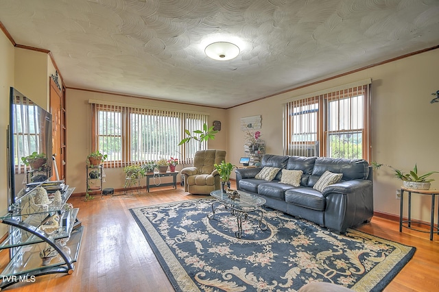 201 Dover Ave, Mount Carmel, TN 37645 - photo 21