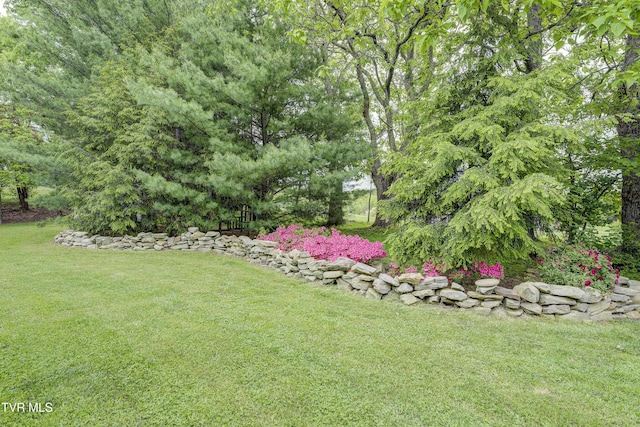 3395 Milburnton Rd, Limestone, TN 37681 - photo 12