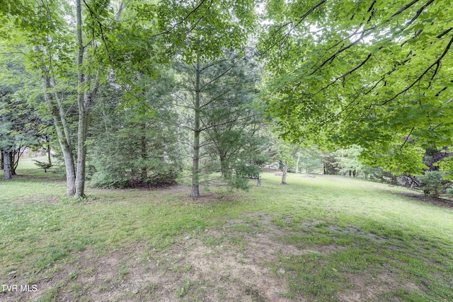 3395 Milburnton Rd, Limestone, TN 37681 - photo 16