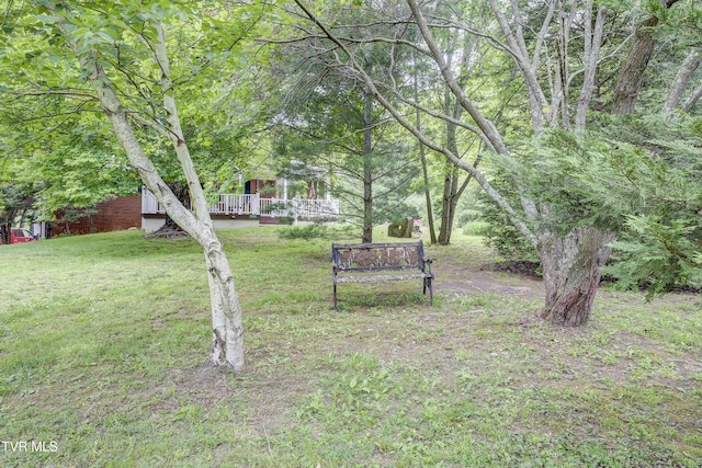 3395 Milburnton Rd, Limestone, TN 37681 - photo 17