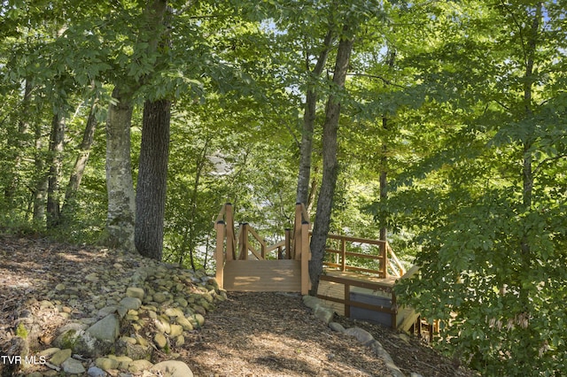 188 Frank Stanton Rd, Limestone, TN 37681 - photo 43