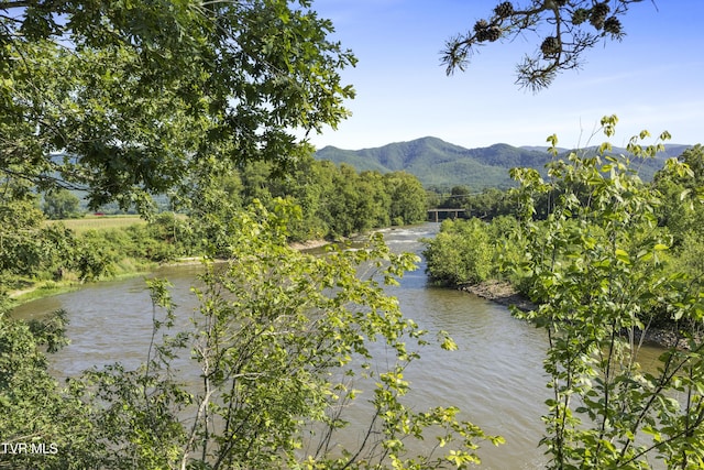 188 Frank Stanton Rd, Limestone, TN 37681 - photo 47