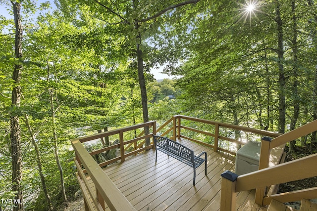 188 Frank Stanton Rd, Limestone, TN 37681 - photo 45