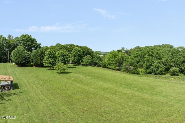 188 Frank Stanton Rd, Limestone, TN 37681 - photo 53