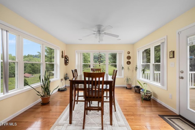 188 Frank Stanton Rd, Limestone, TN 37681 - photo 8