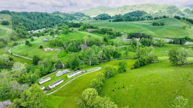 overview of rural landscape featuring a mountain backdrop and agricultural land