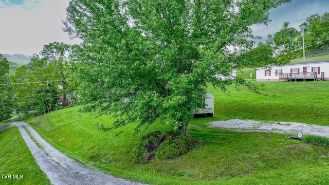 view of grassy yard with a wooden deck